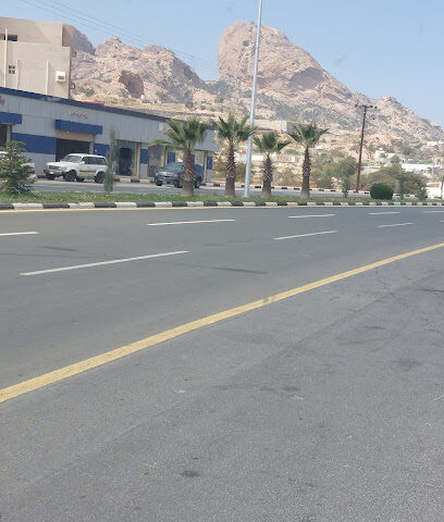 بنشر النجاح لخدمة السيارات - Tanomah -