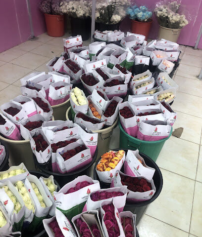 مؤسسة ورد الصباح - Sakaka - +966 53 181 6113