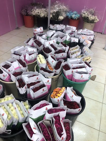 مؤسسة ورد الصباح - Saudi Arabia|Sakaka 72341|3925