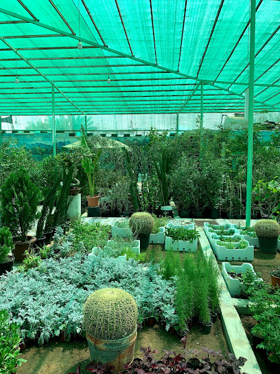 مشتل تل الزيتون - Saudi Arabia|Buraydah 52392|Al Rabiyah|9XRM+43R