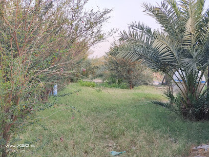 مزرعة الاصمعي - Safwa - +966 56 670 9980