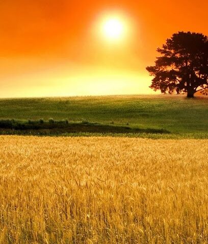 Manifa Fire Training Center - Manifah -