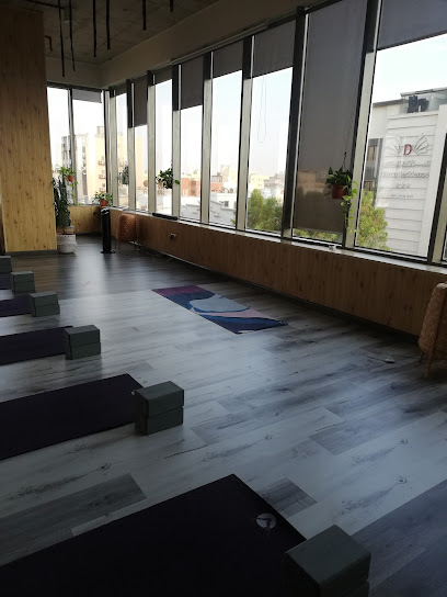 Zen Zone - Saudi Arabia|Jeddah 23526|Al Naeem|2170 An Naeem St