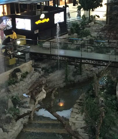 Diane von Furstenberg - Saudi Arabia - +966 11 211 2360