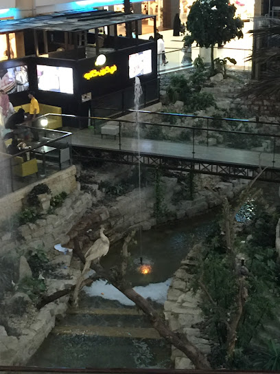 Diane von Furstenberg - Saudi Arabia|Riyadh