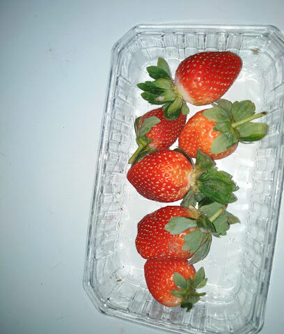 القافلة السياحية - Mecca - +966 50 235 9854