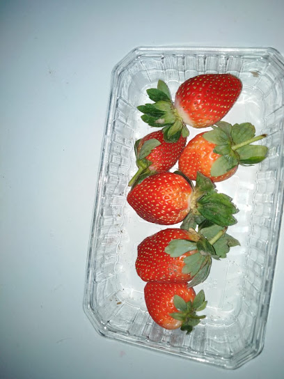 القافلة السياحية - Saudi Arabia|7623 المنصور، التيسير، مكة 24231|2308