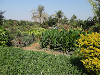 Al Wakid Nursery مشتل الواكد - Jeddah - +966 50 459 5684