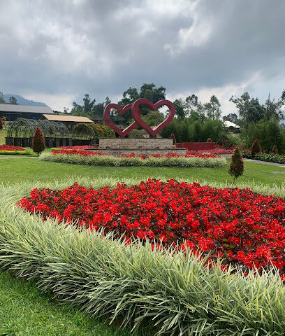 وكالة بلا حدود للسفر والسياحة - Al Qatif - +966 56 327 4095