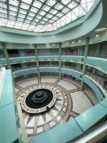 College of Engineering - Saudi Arabia|Al-Kharj 16273|47W9+RWR