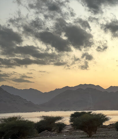 سد الغابة - Al Madinah Al Munawwarah - +966 14 844 4077