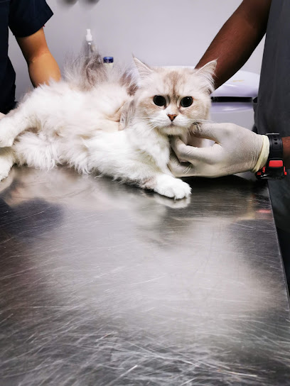 Alaa pets clinic - Saudi Arabia|Jeddah 23623|Al Mohammadiyyah|J4RM+F8C