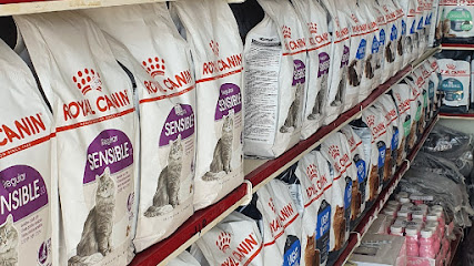 Walid Veterinary Clinic عيادة وليد البيطرية - Jeddah - +966 57 637 7101