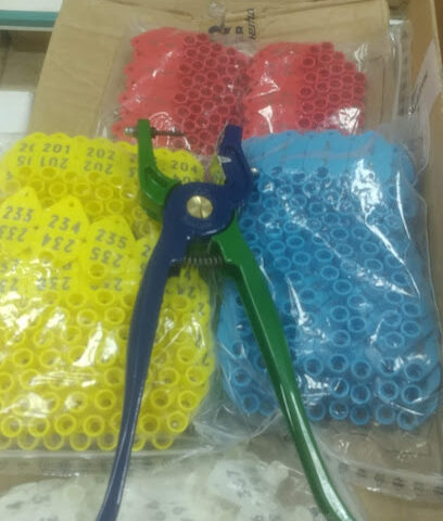 AL-TAHER INT'L CO.LTD - الرياض - +966 11 411 8976