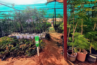 مشتل جمانة الزراعي للاشجار المثمرة واشجار الزينة - Buraydah - +966 50 615 1617