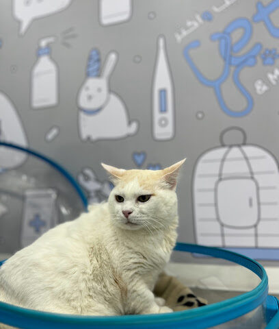 عيادة طبيب وأكثر البيطرية - Riyadh - +966 57 070 0880