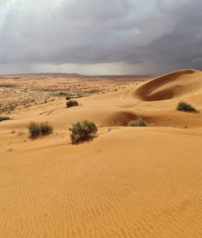 الحاذية - Az Zulfi -