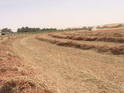 مزرعة الزير - Ad Dilam - +966 55 875 6613