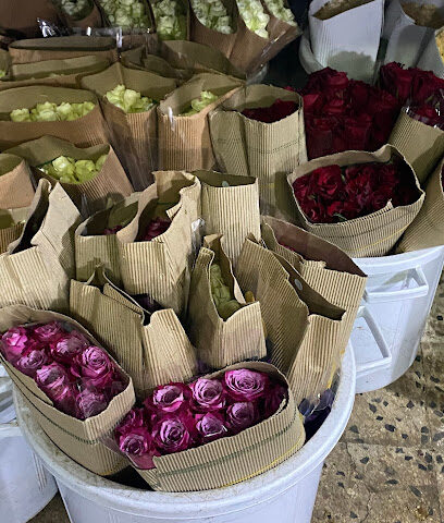 إتاء الزراعية الخبر - Al Khobar - +966 13 869 0182