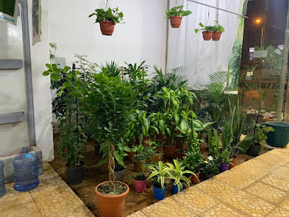 The Beautiful Forest - مشتل الغابة الجميلة - Riyadh - +966 55 021 1112