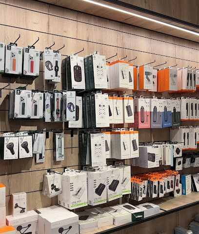 فوكس جيم - Badr - +966 54 541 6105