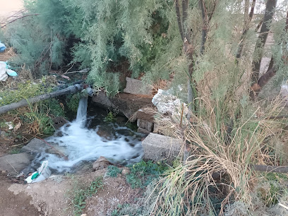 مزرعة الإشراف ذوي زيد - Taif - +966 53 531 6324