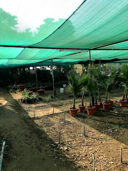 مشتل سعيد مسعود الغامدي - Saudi Arabia|Abu Arish 84721|XR57+G22