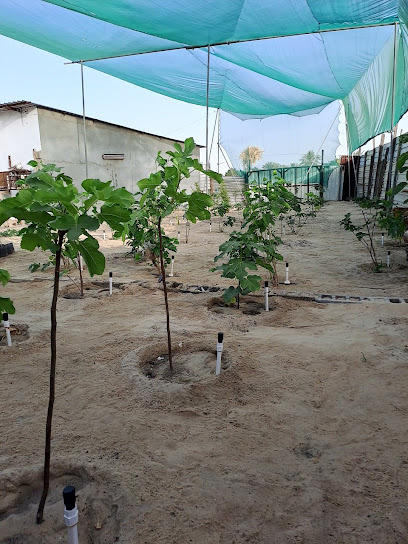 مزرعة عبدالله القناص - Saudi Arabia|Safwa 32714|7848 3116،|Al Hazm