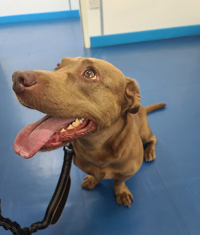 SAFAA Vet Clinic - Thuwal -