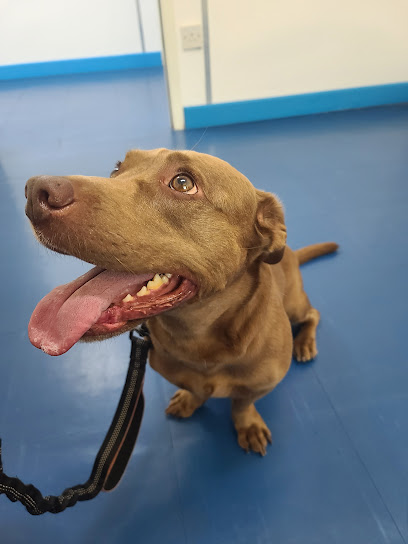 SAFAA Vet Clinic - Saudi Arabia|Thuwal 23955|845C+7G3