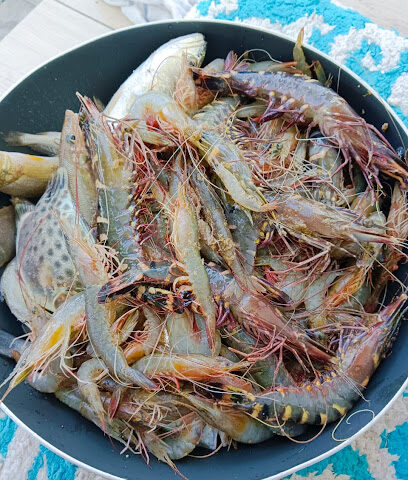 Ocean Star trdaing Est - Dammam - +966 54 595 8997