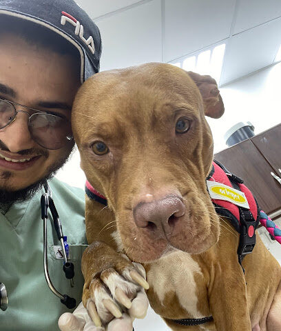 عيادة كفوف الرحمه البيطرية Mercy Paws Pets Clinic - Dammam - +966 57 667 0148