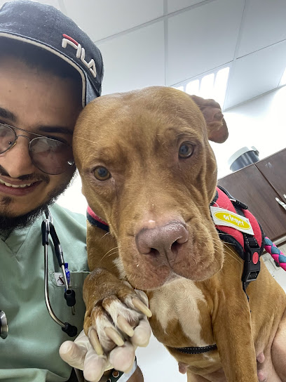 عيادة كفوف الرحمه البيطرية Mercy Paws Pets Clinic - Dammam 32253