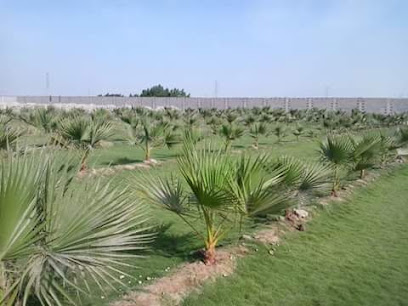 الزهره الخضراء - Khafji - +966 53 242 9718