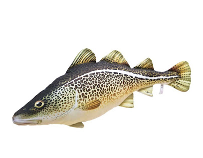 Saco Dico camp - Jeddah -