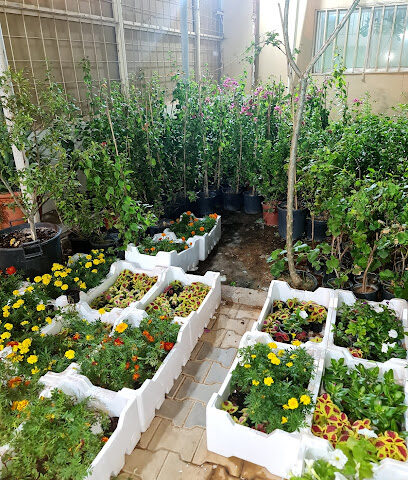 مشتل الرحيق الرائع - Az Zulfi - +966 53 278 0713