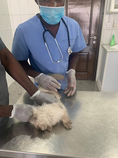 Khobar Veterinary Clinic - Saudi Arabia|Dammam|King Fahd Road