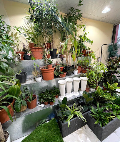 مواسم للحدائق والنباتات - Al-Kharj - +966 54 673 1917