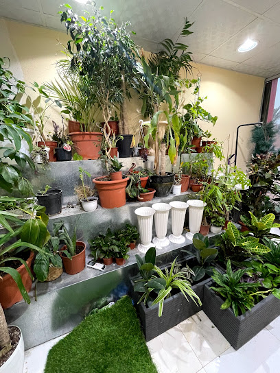 مواسم للحدائق والنباتات - Saudi Arabia|8183، البرج، الخرج 16278 2490،