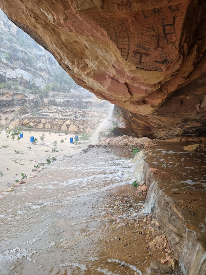 مزرعة ابو اصايل للبن والفواكه -