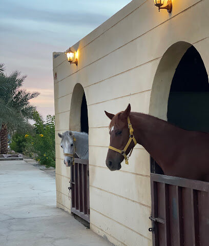 Althunayanh Stud - Tabuk - +966 50 298 3004