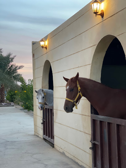 Althunayanh Stud - Saudi Arabia|Tabuk 47531|Unnamed Road