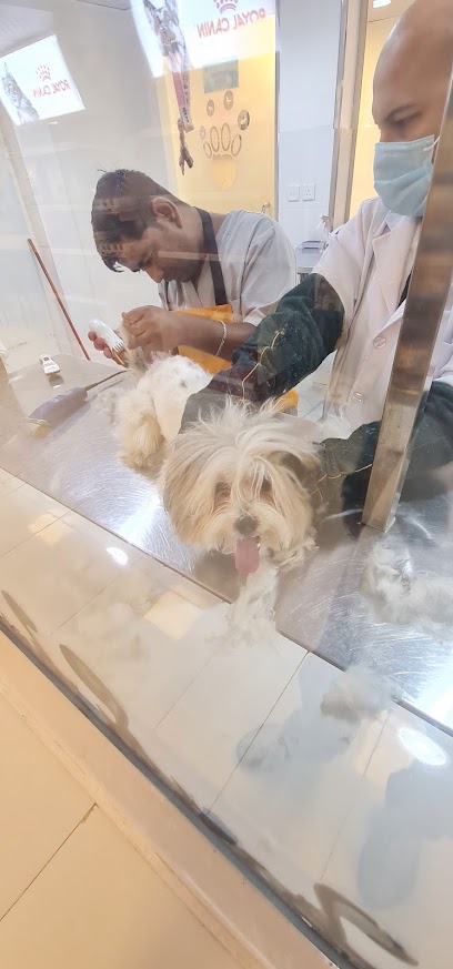 soft paws clinic - Saudi Arabia|Jeddah 23535|7676|5323 Prince Majid Rd