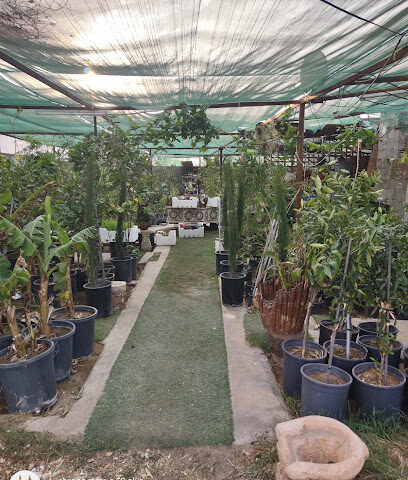 مشاتل الآفاق الشاهقة - Bisha - +966 53 229 8310