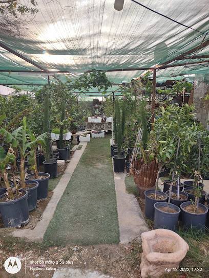 مشاتل الآفاق الشاهقة - Saudi Arabia|8706 Riyadh