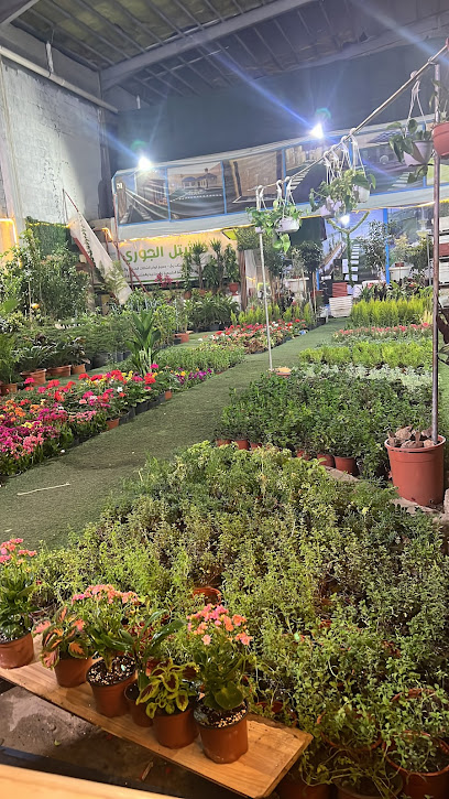 مشتل الجوري - Saudi Arabia|Khamis Mushait 62414|As Suqur|King Fahd Rd