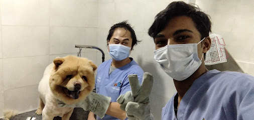 OKA Vet Clinic Khobar - Al Khobar - +966 13 867 6479