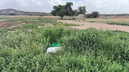 وقف الشريف منصور بن زيد الشنبري - الطائف - +966 56 618 5416