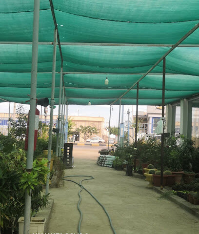 Yanbu Al Salam Nursery - Yanbu - +966 55 815 6162