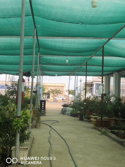 Yanbu Al Salam Nursery - Saudi Arabia|Yanbu 46432|Alyaqut